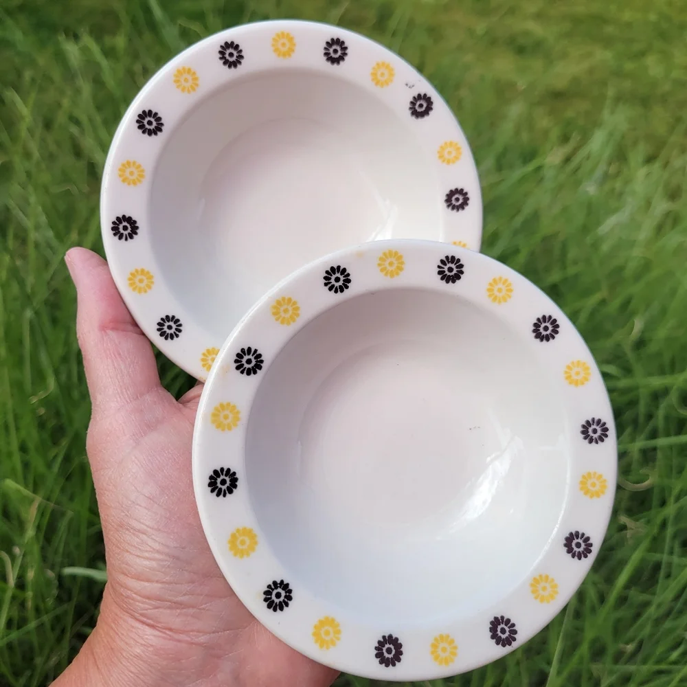 Homer Laughlin Fruit Salsa Dessert Dishes (2) ~ 1960s ~ MCM ~ Retro ~ Floral - Picture 1 of 16